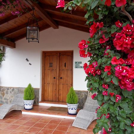 Alhaurín el Grande Bed & Breakfast | Guest House Casa Don Carlos المظهر الخارجي الصورة
