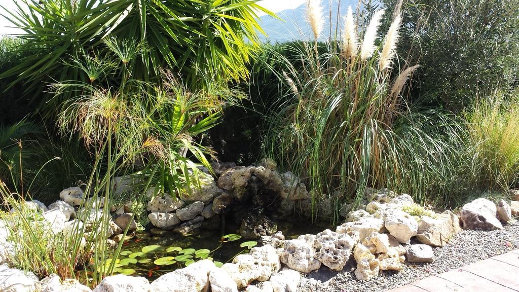 Alhaurín el Grande Bed & Breakfast | Guest House Casa Don Carlos المظهر الخارجي الصورة
