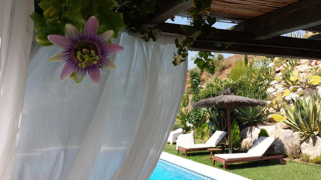 Alhaurín el Grande Bed & Breakfast | Guest House Casa Don Carlos المظهر الخارجي الصورة