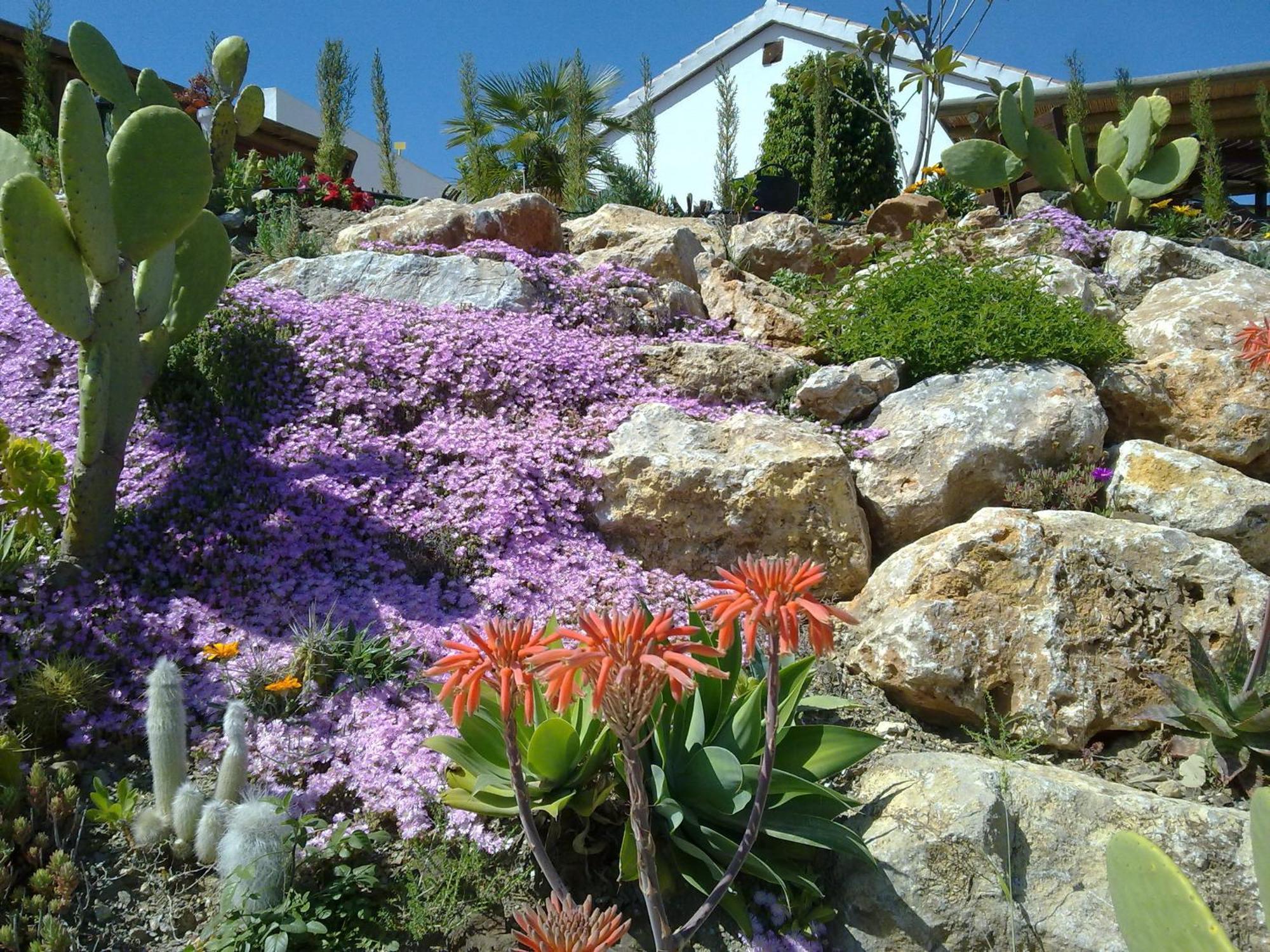 Alhaurín el Grande Bed & Breakfast | Guest House Casa Don Carlos المظهر الخارجي الصورة