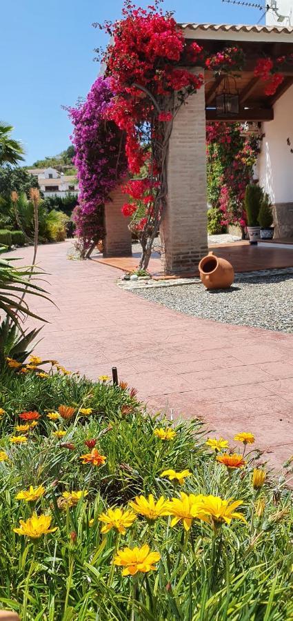Alhaurín el Grande Bed & Breakfast | Guest House Casa Don Carlos المظهر الخارجي الصورة